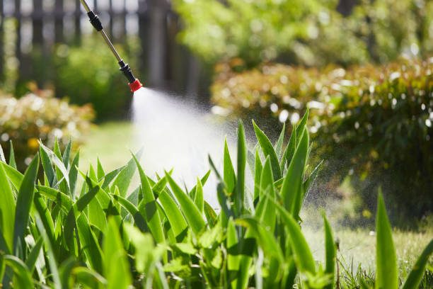 24/7 Emergency Ant Control experts in Sparta, IL